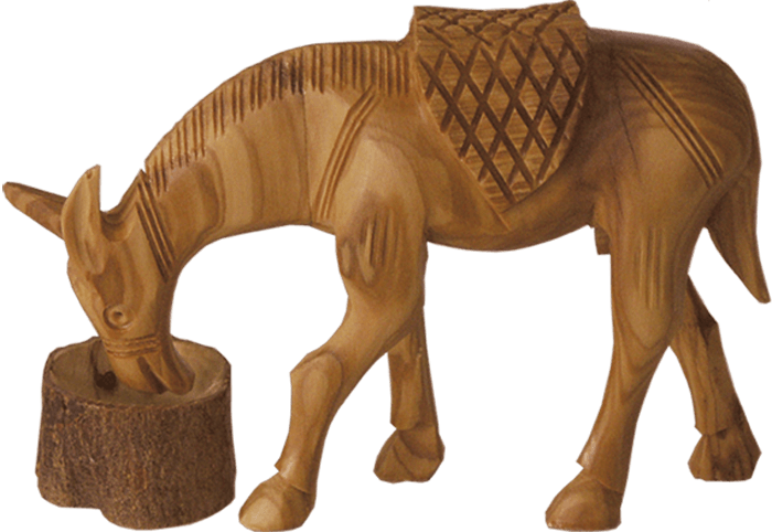 Camels