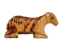 Animals