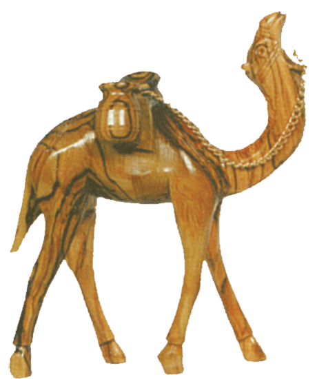 Camels