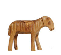 Animals